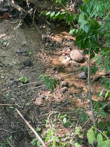 $545,220 | 41.94-acres Route 14, Harvard, IL 60033