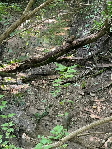 $545,220 | 41.94-acres Route 14, Harvard, IL 60033