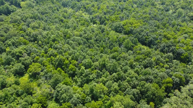 $545,220 | 41.94-acres Route 14, Harvard, IL 60033