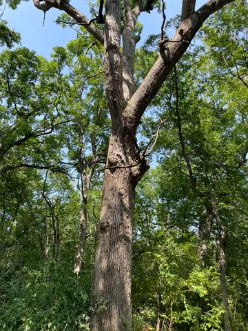 $545,220 | 41.94-acres Route 14, Harvard, IL 60033