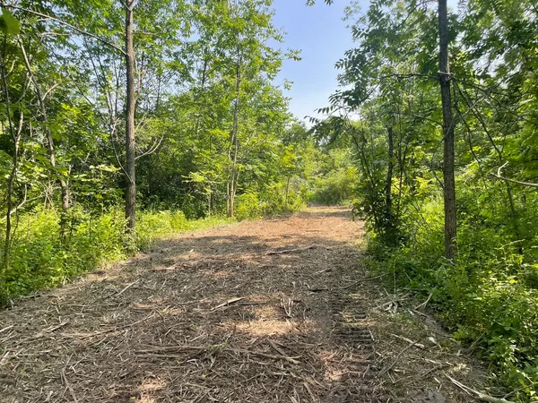 a view of road with trees