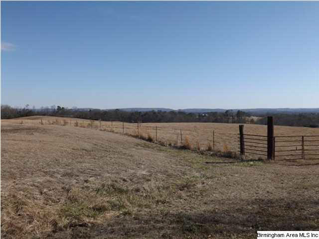 New Prospect Church Road, Unit 16 Horton, AL 35980 - Photo 6 of 20