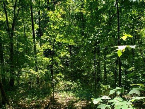 4650 Sunshine Ridge Road Blue Creek, OH 45616 - Photo 7 of 11