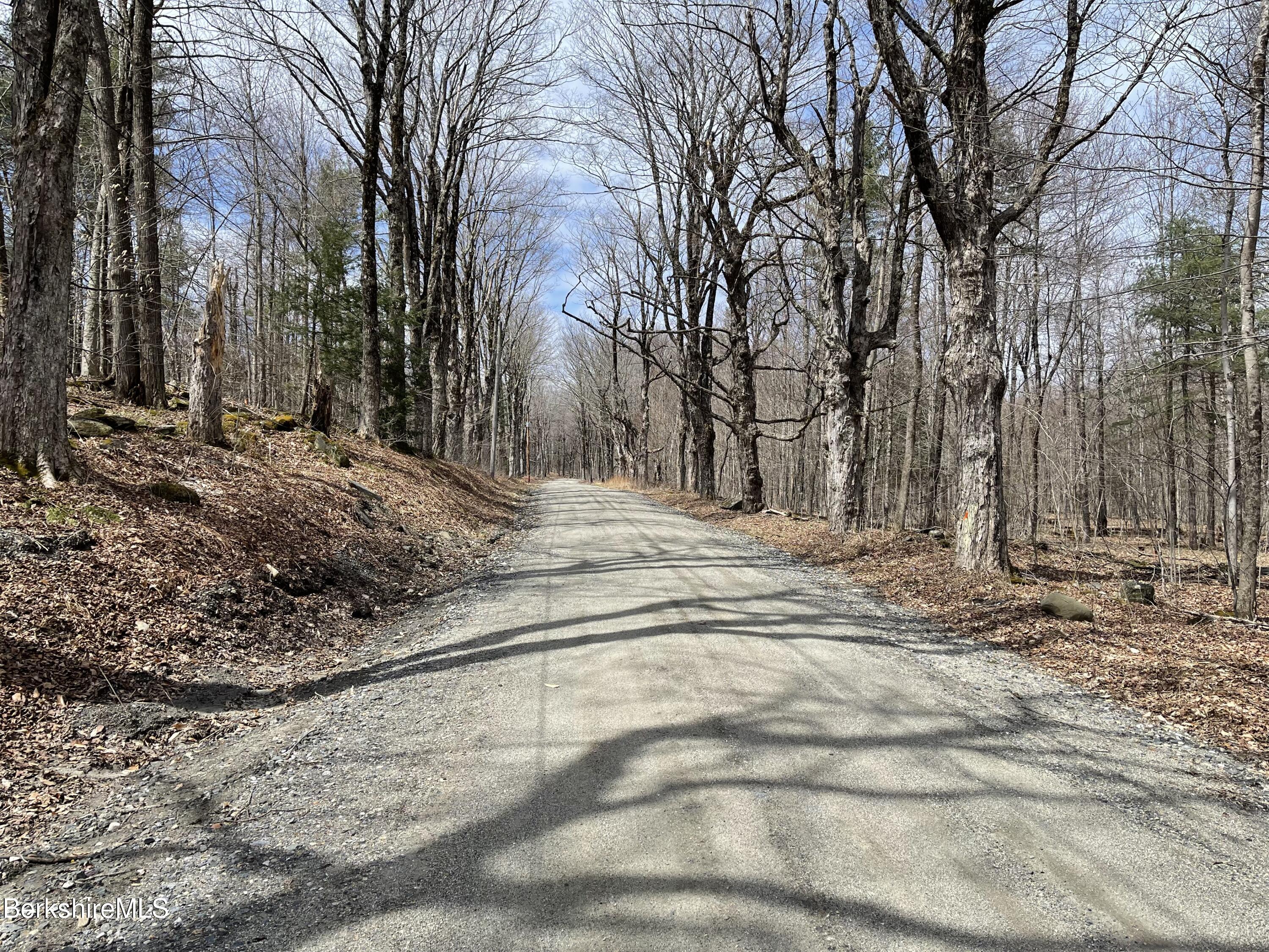 0 Campbell Road Plainfield, MA 01070 - Photo 2 of 7 IMG-0964