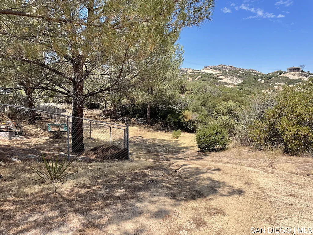 3580 Emmanuel Way Alpine, CA 91901 - Photo 50 of 65 a view of a yard with a tree