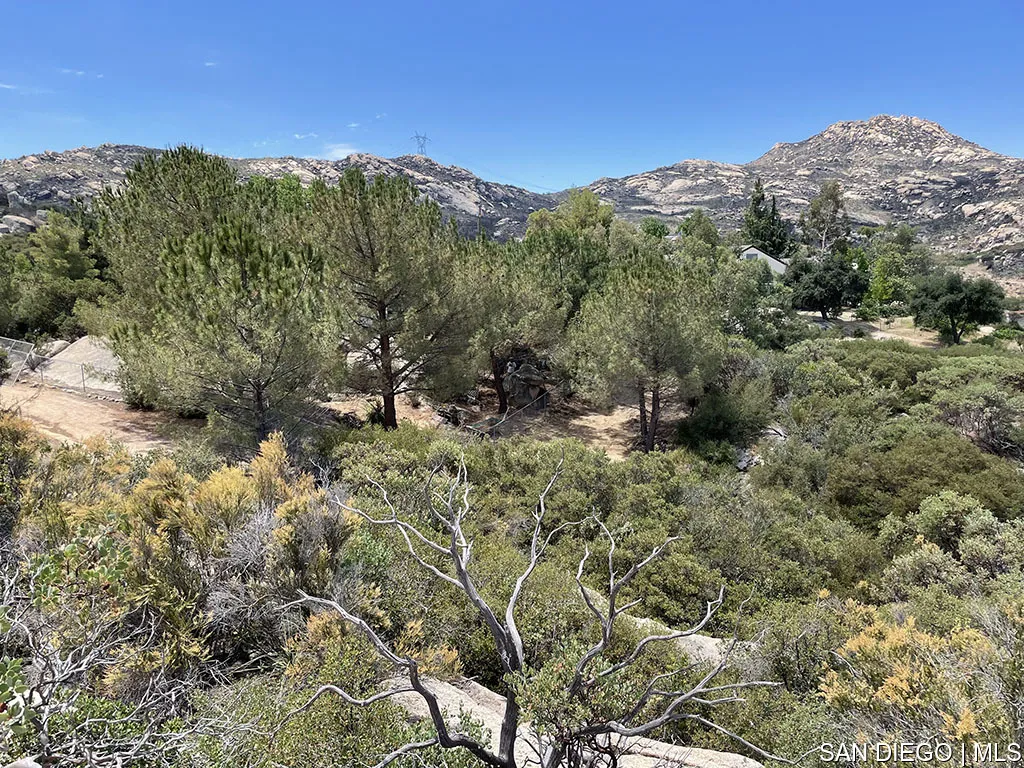 3580 Emmanuel Way Alpine, CA 91901 - Photo 54 of 65 a view of a forest with mountains in the background