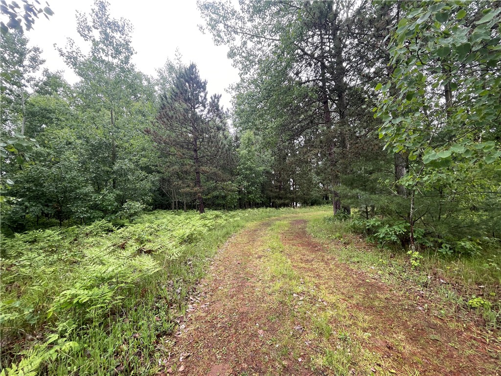 0 Loon Lake Road Spooner, WI 54801 - Photo 14 of 28