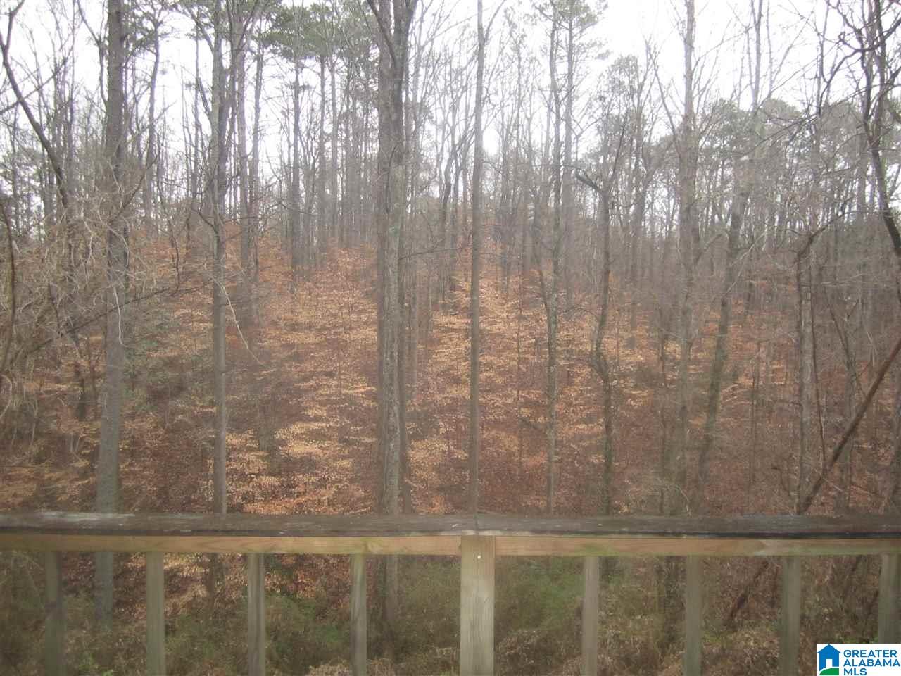 3685 Mt Olive Road Mount Olive, AL 35117 - Photo 12 of 25