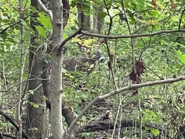 7150 South Section Line Road Delaware, OH 43015 - Photo 13 of 24