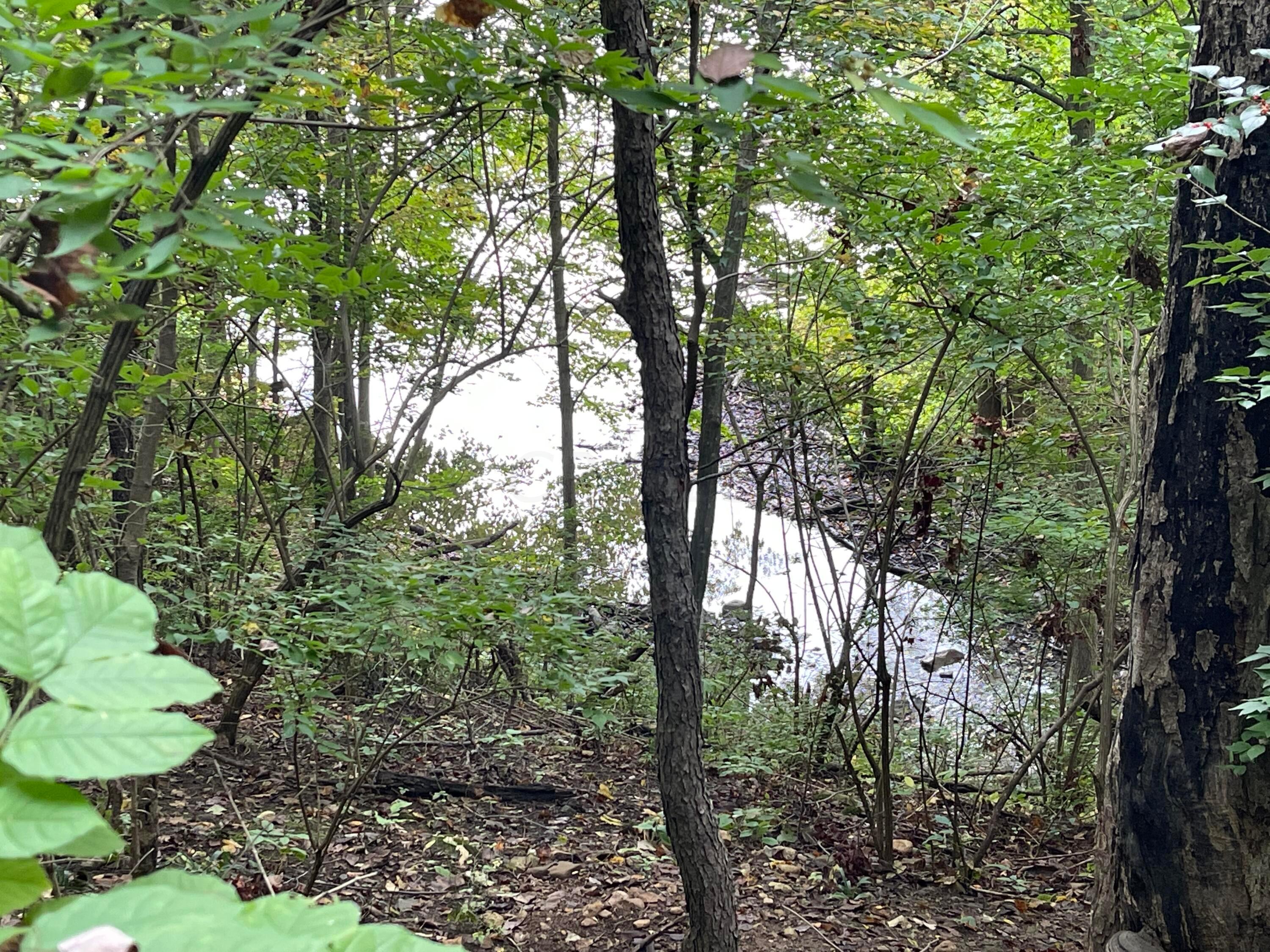 7150 South Section Line Road Delaware, OH 43015 - Photo 9 of 24