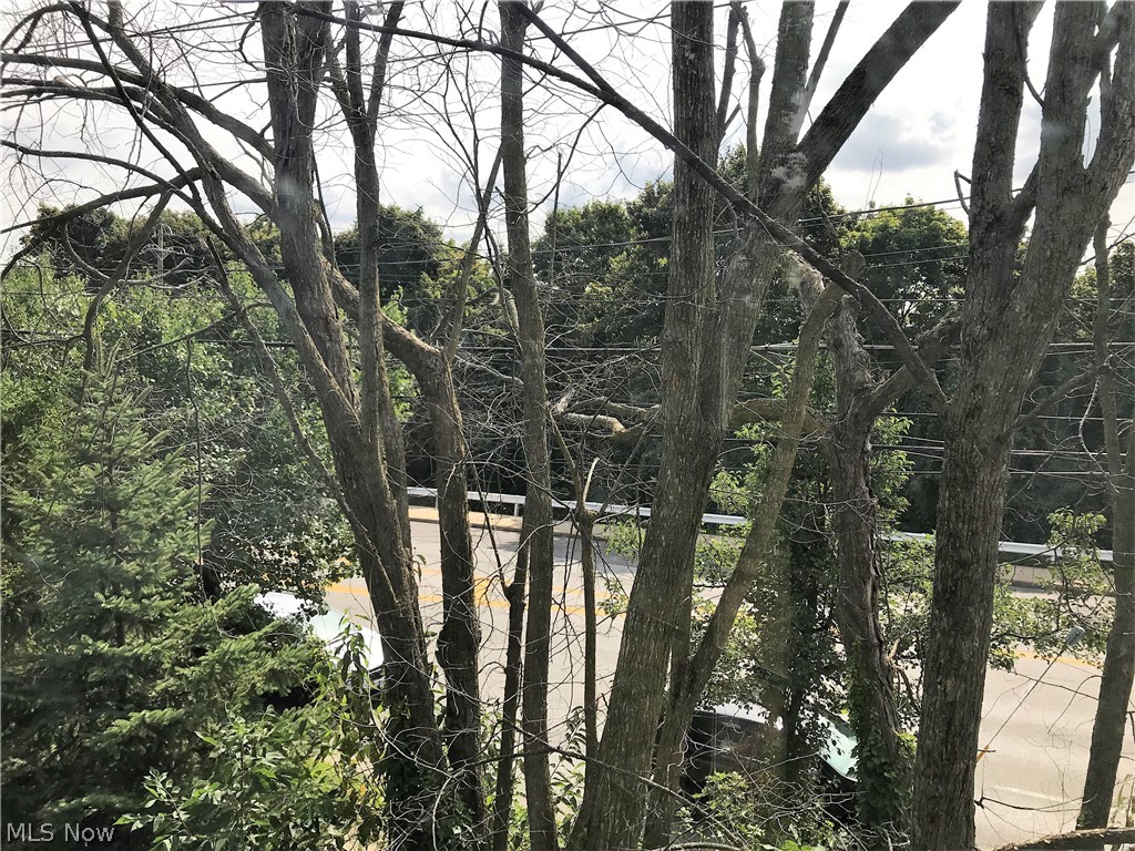 19860 Lorain Road, Unit 6 Cleveland, OH 44126 - Photo 10 of 14 View from the master bedroom