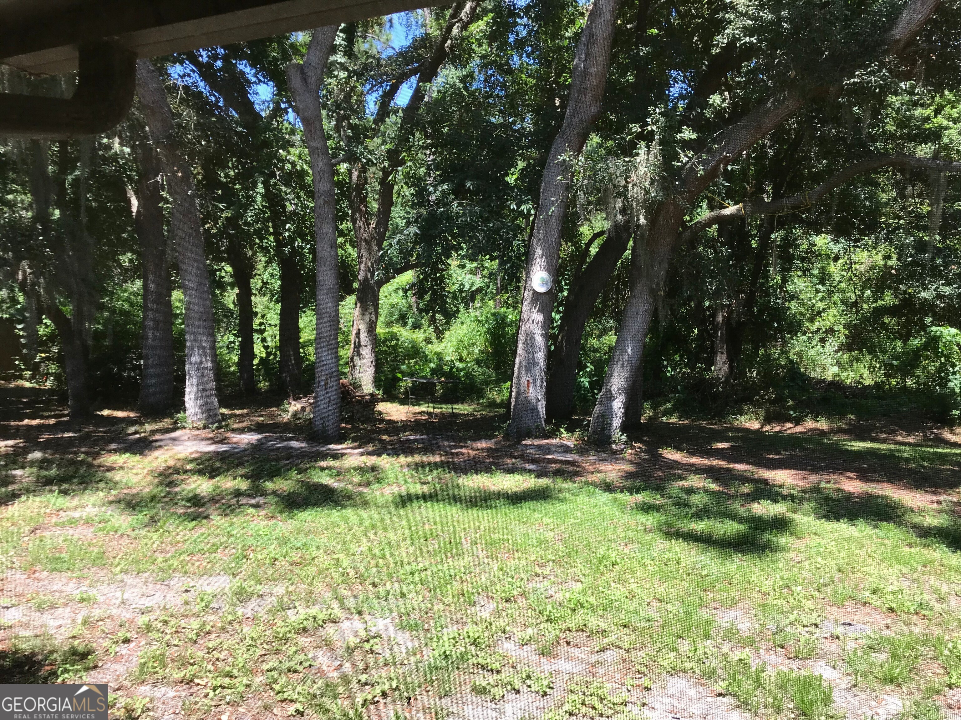 390 Powderhorn Road St. Marys, GA 31558 - Photo 18 of 18 a view of a tree in the middle of a yard