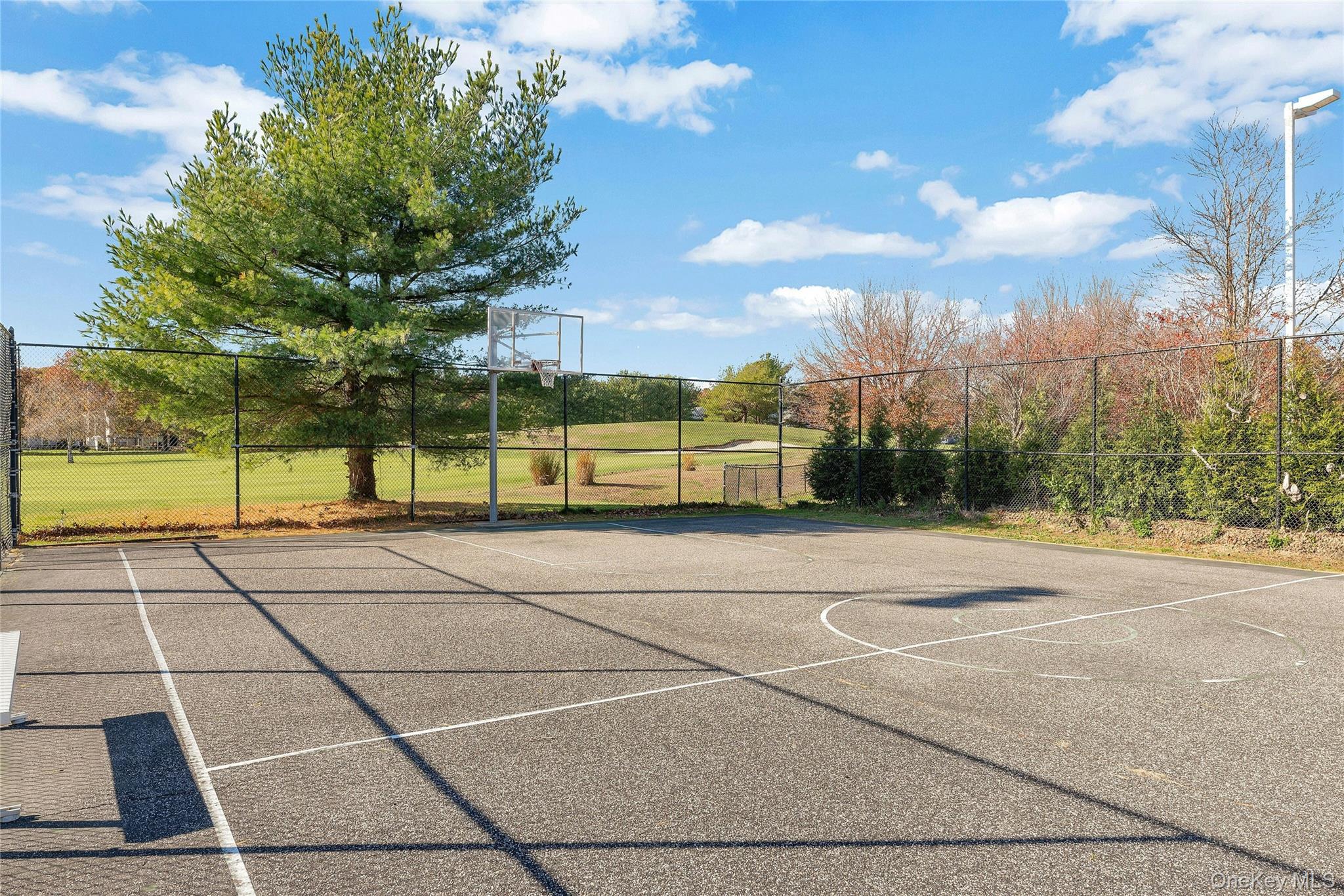 825 Spring Lake Drive Middle Island, NY 11953 - Photo 20 of 33