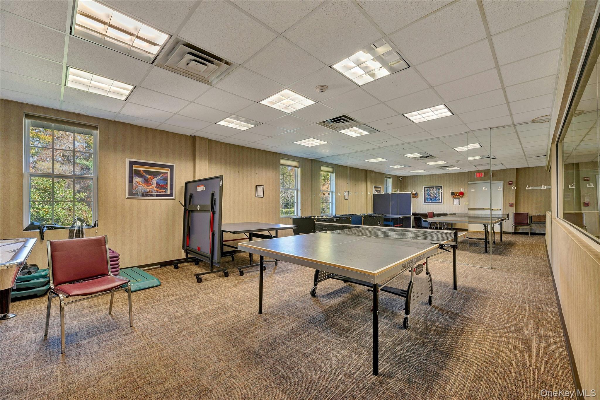 825 Spring Lake Drive Middle Island, NY 11953 - Photo 23 of 33