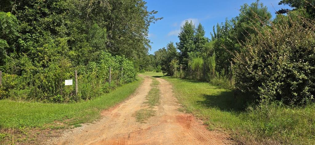 4739 Wallace Buie Road Columbia, AL 36319 - Photo 2 of 54