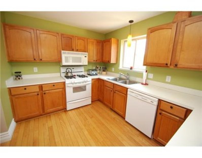 9171 Kestrel Ridge Road Brighton, MI 48116 - Photo 6 of 10 Photo 6
