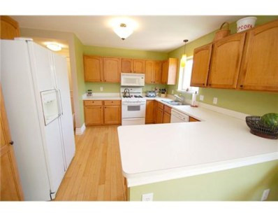 9171 Kestrel Ridge Road Brighton, MI 48116 - Photo 9 of 10 Photo 9