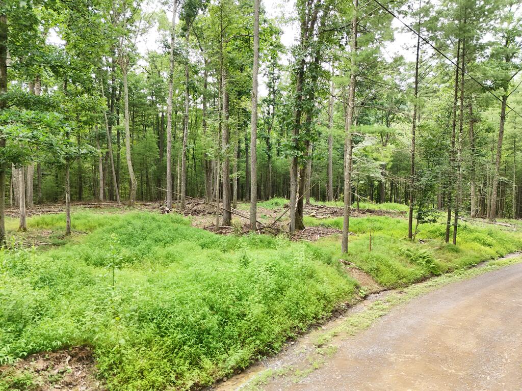 10880 Pine Thistle Road Huntingdon, PA 16652 - Photo 36 of 36 Gallery Image 36