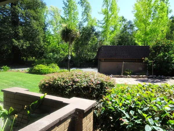 a view of yard with potted plants