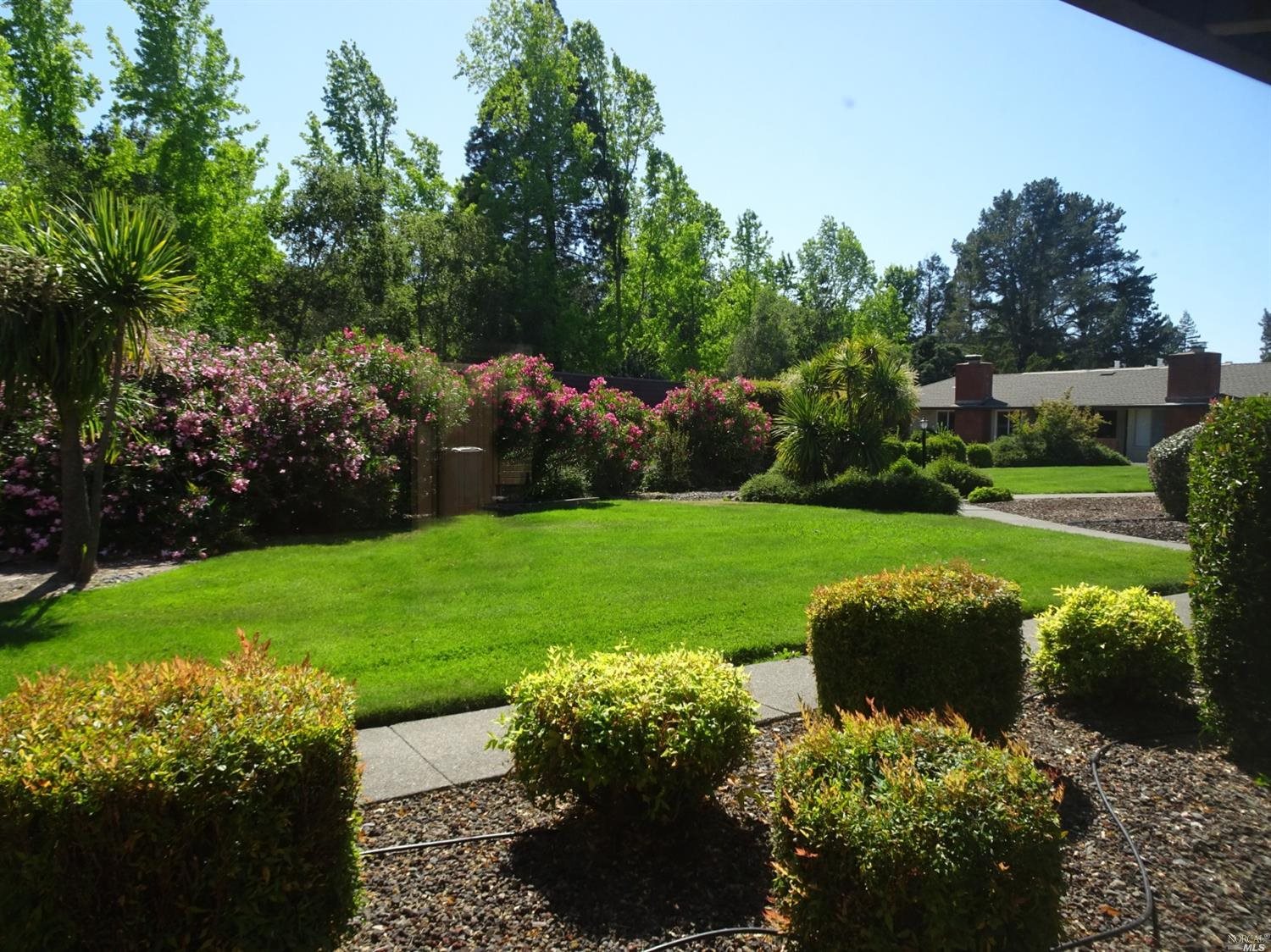 6 Woodgreen Street Santa Rosa, CA 95409 - Photo 16 of 16 a view of a garden with plants and large trees