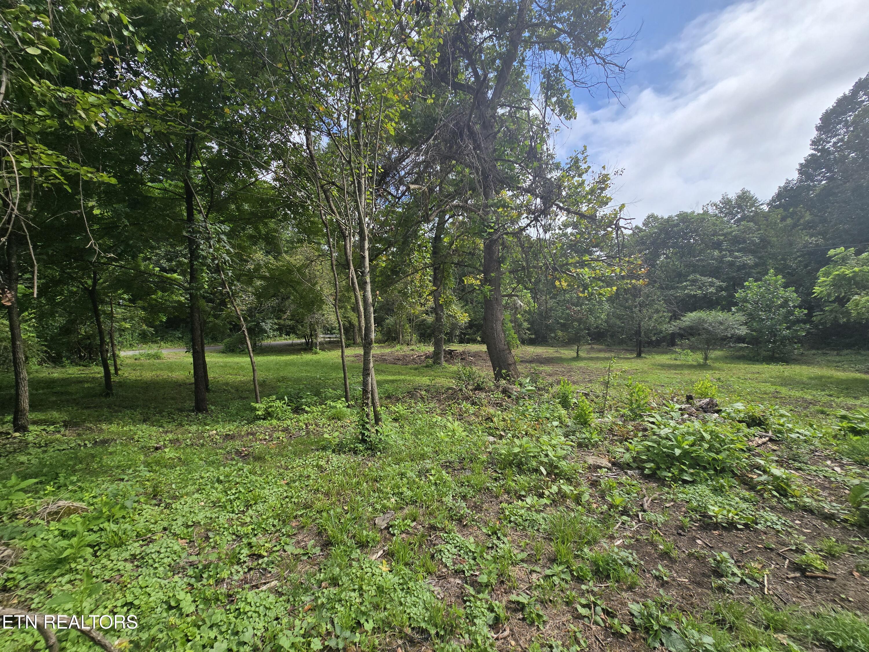 0 Valley Spring Road Rose Hill, VA 24281 - Photo 17 of 17 1000036483
