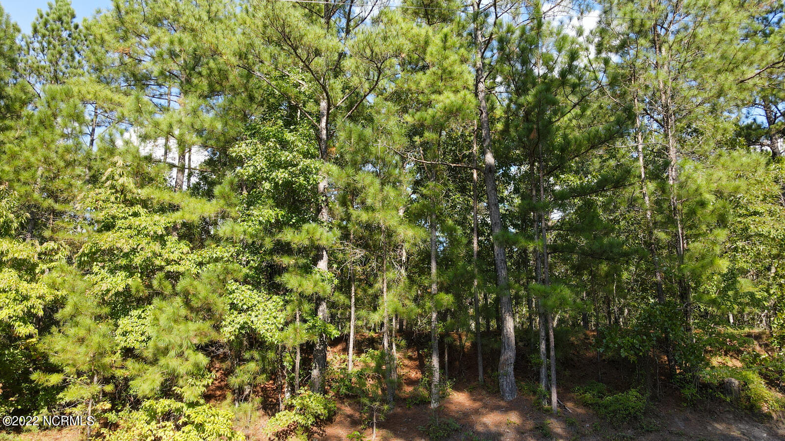 Tbd McGill Road Cameron, NC 28326 - Photo 24 of 24 McGill rd (29)