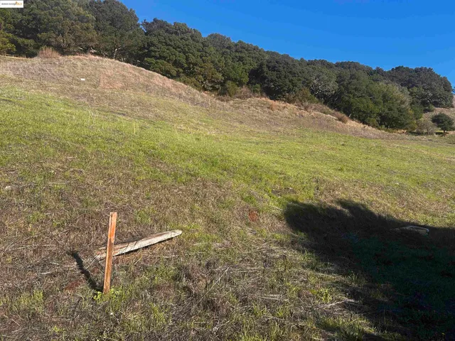 a view of a yard with an outdoor space