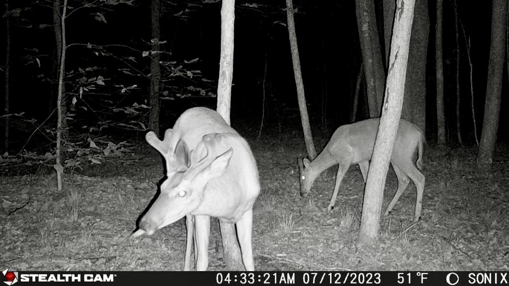 9304 Tower Road Northeast Kalkaska, MI 49646 - Photo 55 of 62