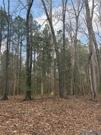 $90,000 | 0 Richmond Road, Amelia Court House, VA 23002