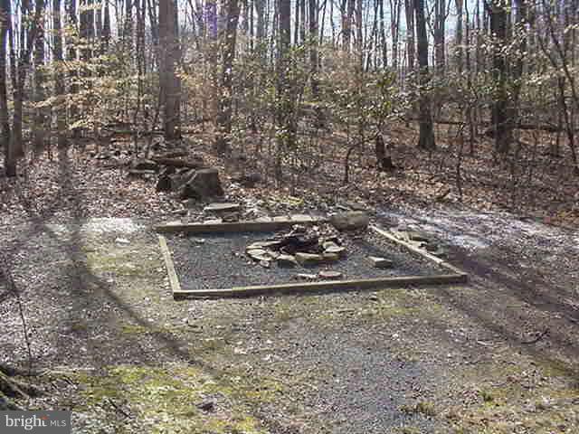 3733 Russell Road Woodbridge, VA 22192 - Photo 12 of 30 Fire Pit for Marshmellows