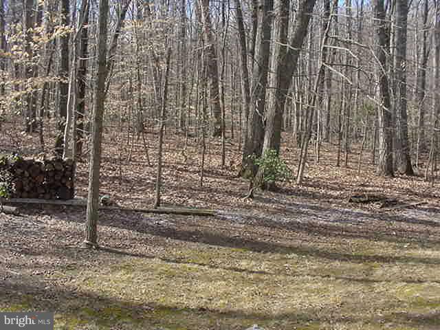 3733 Russell Road Woodbridge, VA 22192 - Photo 13 of 30 Great place for Children.