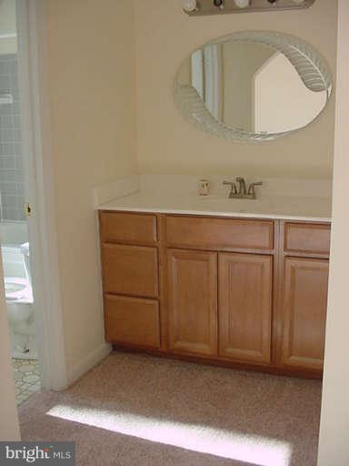 3733 Russell Road Woodbridge, VA 22192 - Photo 17 of 30 Separate Vanity and Jetted Tub