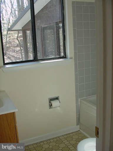 3733 Russell Road Woodbridge, VA 22192 - Photo 18 of 30 Jetted Tub and Separate Vanity.