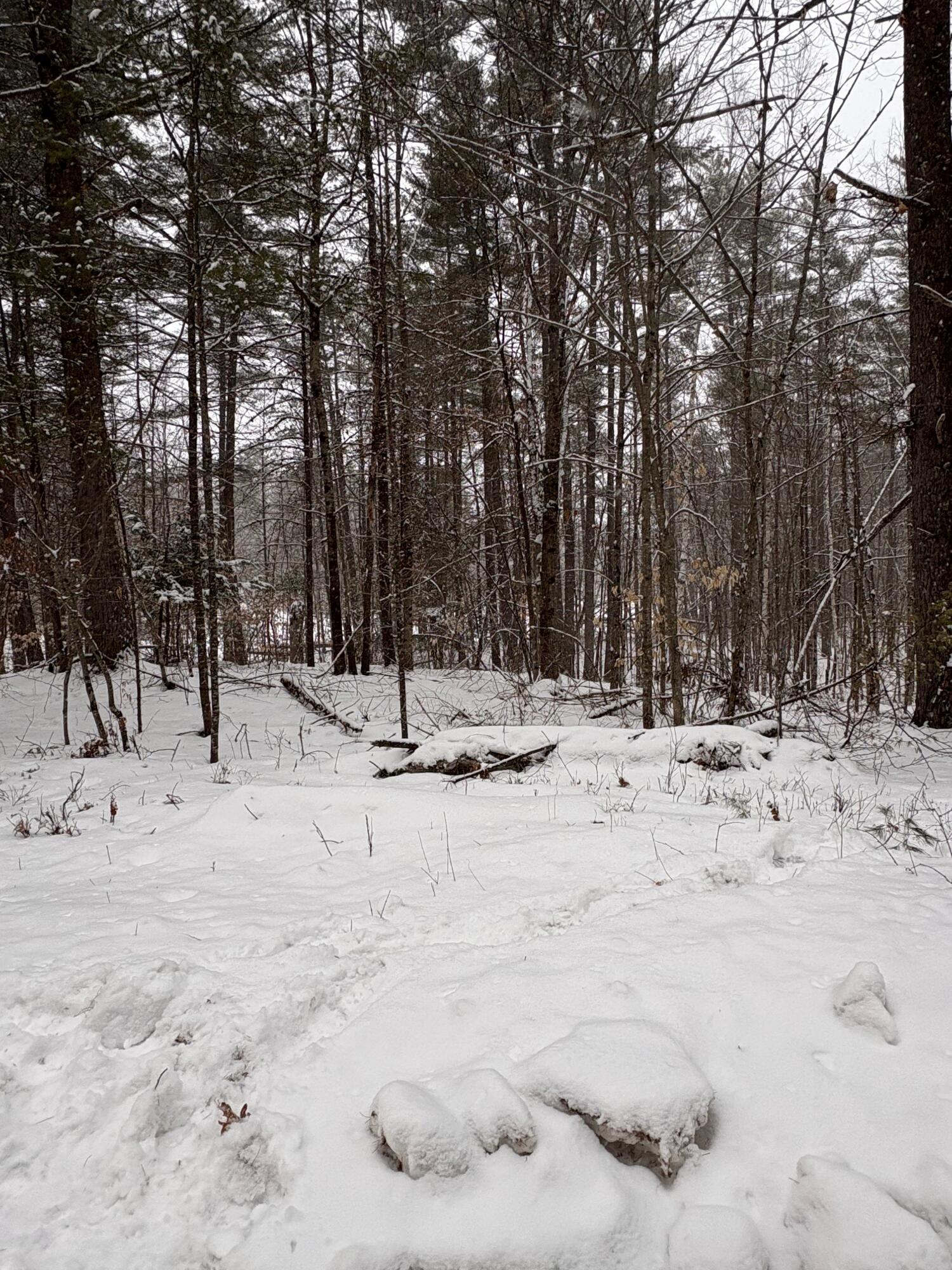 Lot 18-22a Warren Road Denmark, ME 04022 - Photo 2 of 3 IMG_1802
