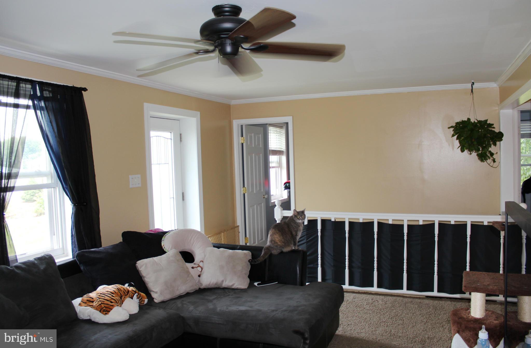 13127 Independence Road Clear Spring, MD 21722 - Photo 3 of 30 Living Room