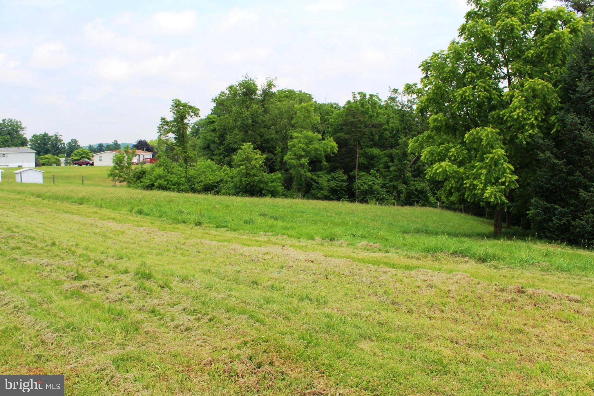 13127 Independence Road Clear Spring, MD 21722 - Photo 26 of 30 Fenced pasture