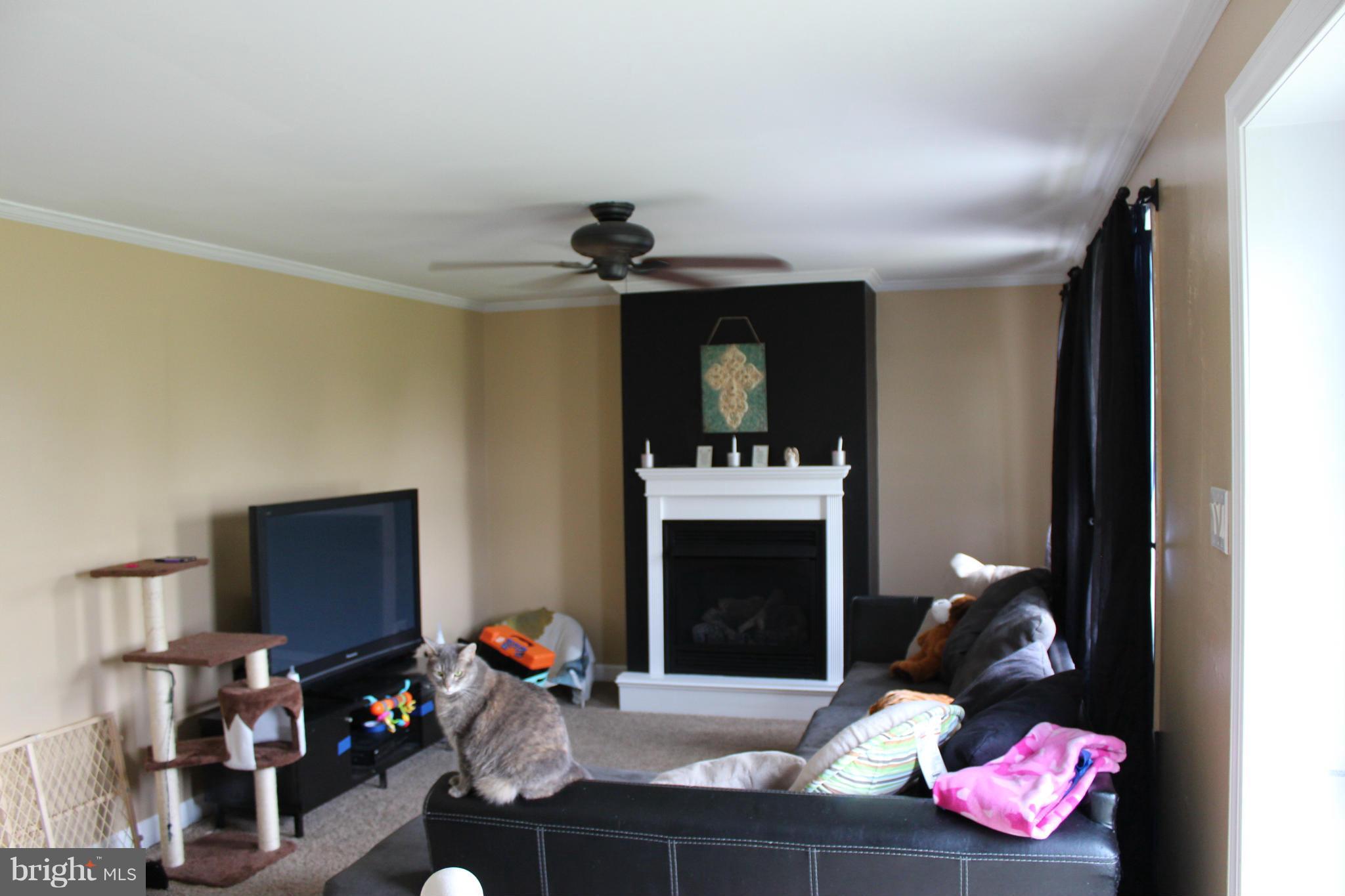 13127 Independence Road Clear Spring, MD 21722 - Photo 5 of 30 Living Room