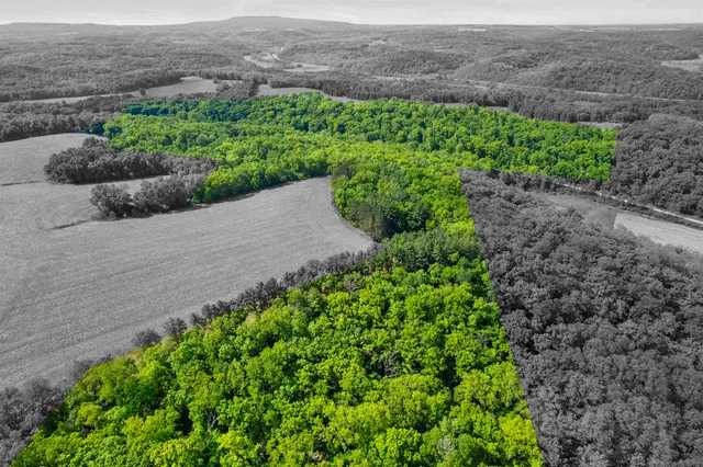 $400,000 | 33.44-acres Zwettler, Blue Mounds, WI 53517