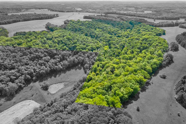 $400,000 | 33.44-acres Zwettler, Blue Mounds, WI 53517