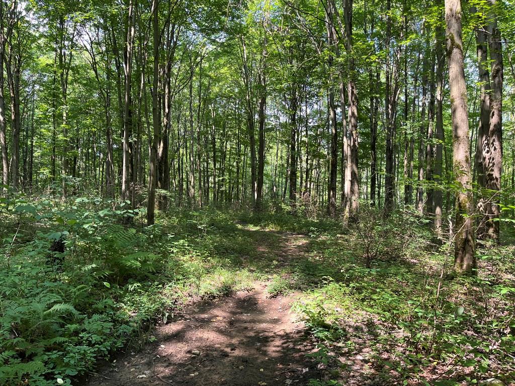 32082 Guys Mills Road Townville, PA 16360 - Photo 1 of 19 Gallery Image 1