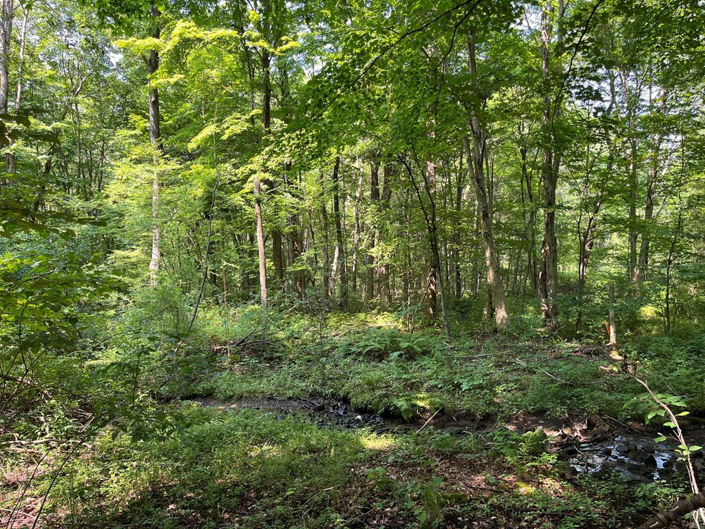 32082 Guys Mills Road Townville, PA 16360 - Photo 3 of 19 Gallery Image 3