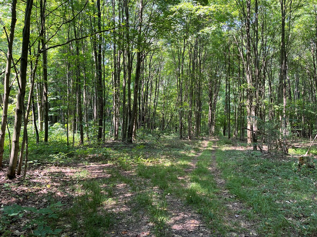 32082 Guys Mills Road Townville, PA 16360 - Photo 8 of 19 Gallery Image 8