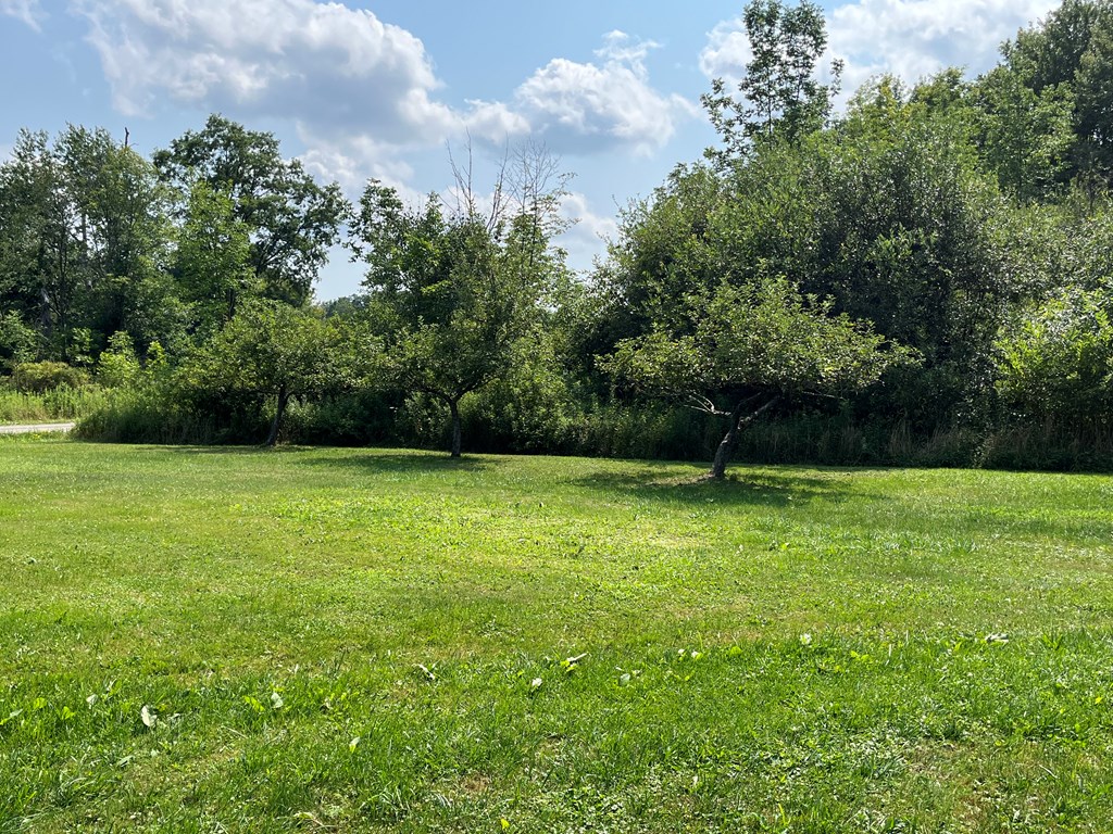 32082 Guys Mills Road Townville, PA 16360 - Photo 10 of 19 Gallery Image 10