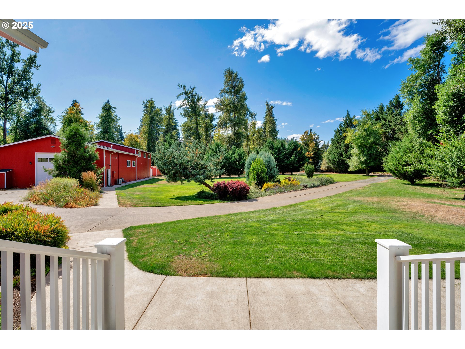 78341 Snauer Lane Cottage Grove, OR 97424 - Photo 4 of 48 a view of a backyard
