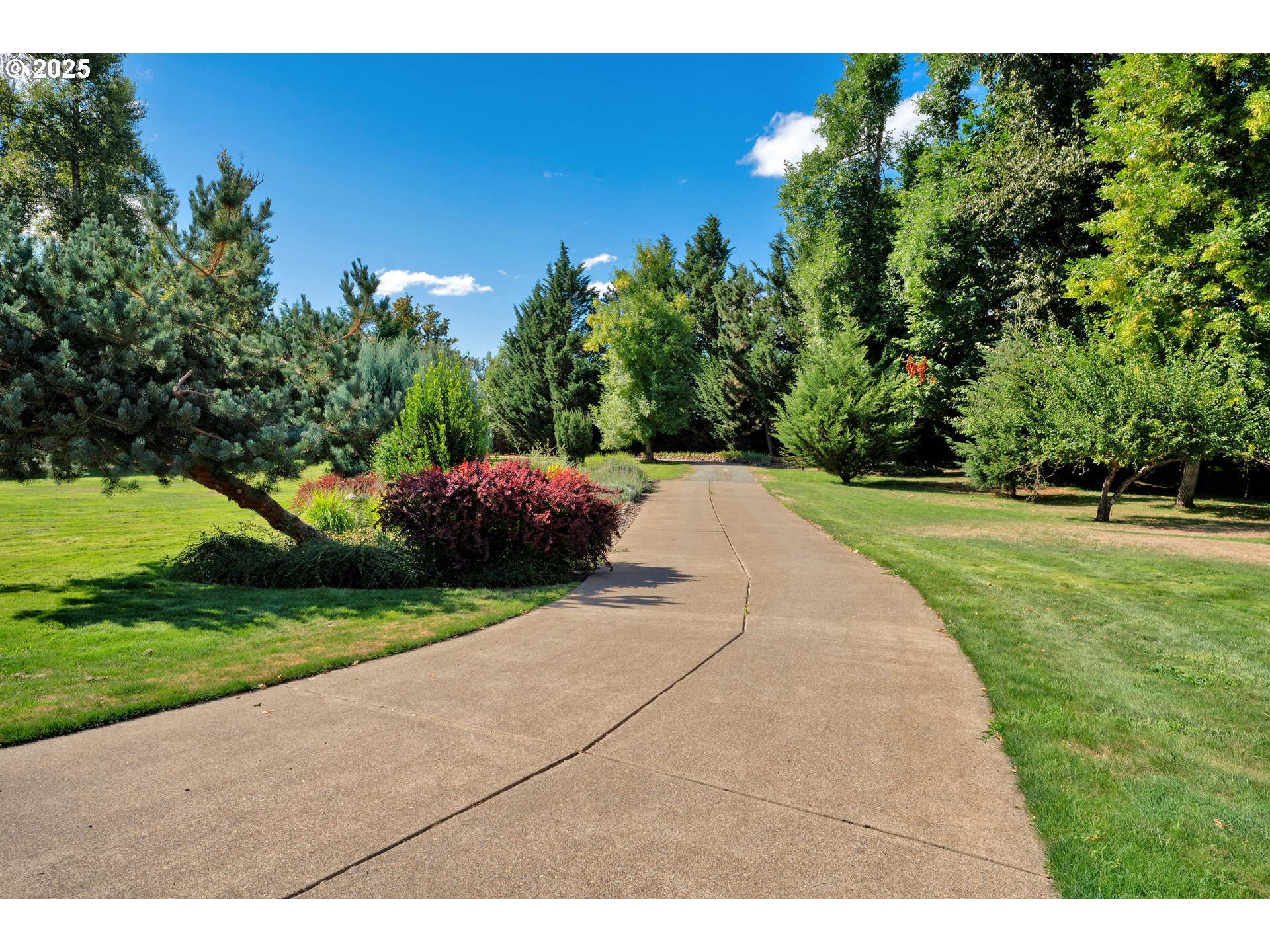 78341 Snauer Lane Cottage Grove, OR 97424 - Photo 42 of 48 a view of a park with large trees