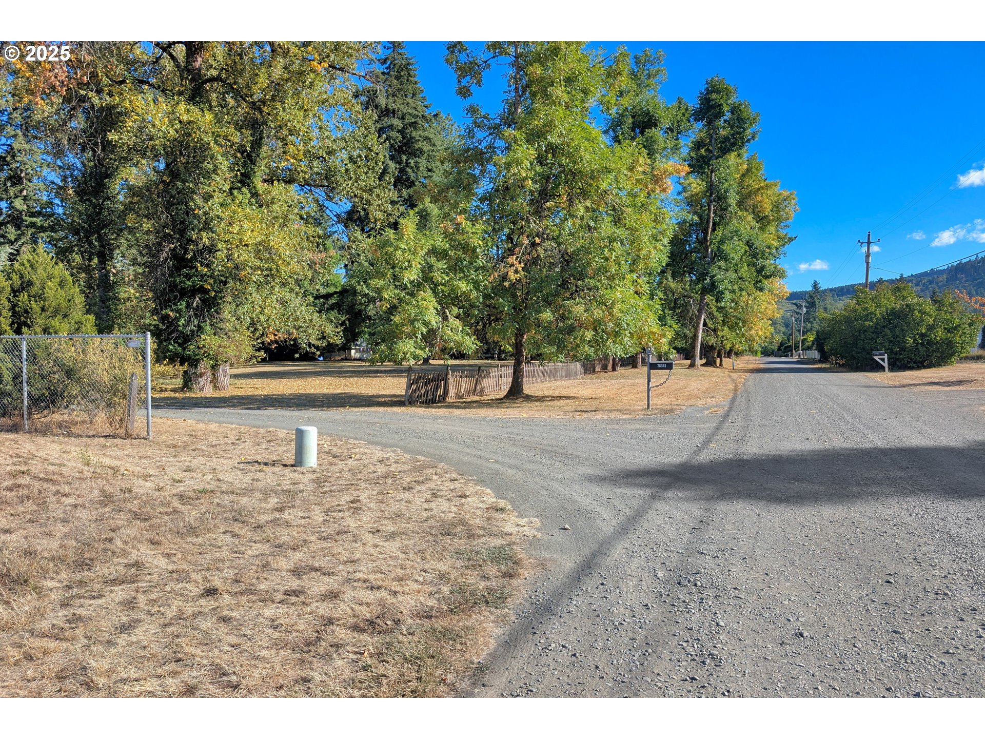 78341 Snauer Lane Cottage Grove, OR 97424 - Photo 47 of 48 a view of outdoor space with trees