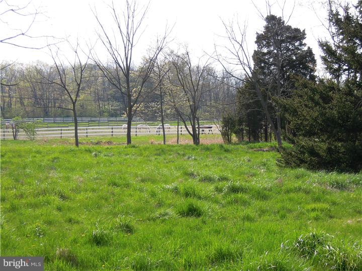 3967 Parestis Road Barto, PA 19504 - Photo 15 of 16 View in Back