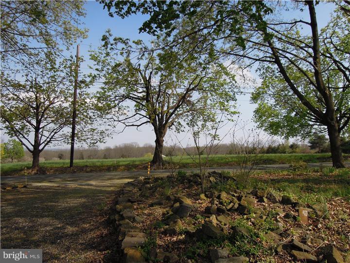 3967 Parestis Road Barto, PA 19504 - Photo 16 of 16 View from Front Door