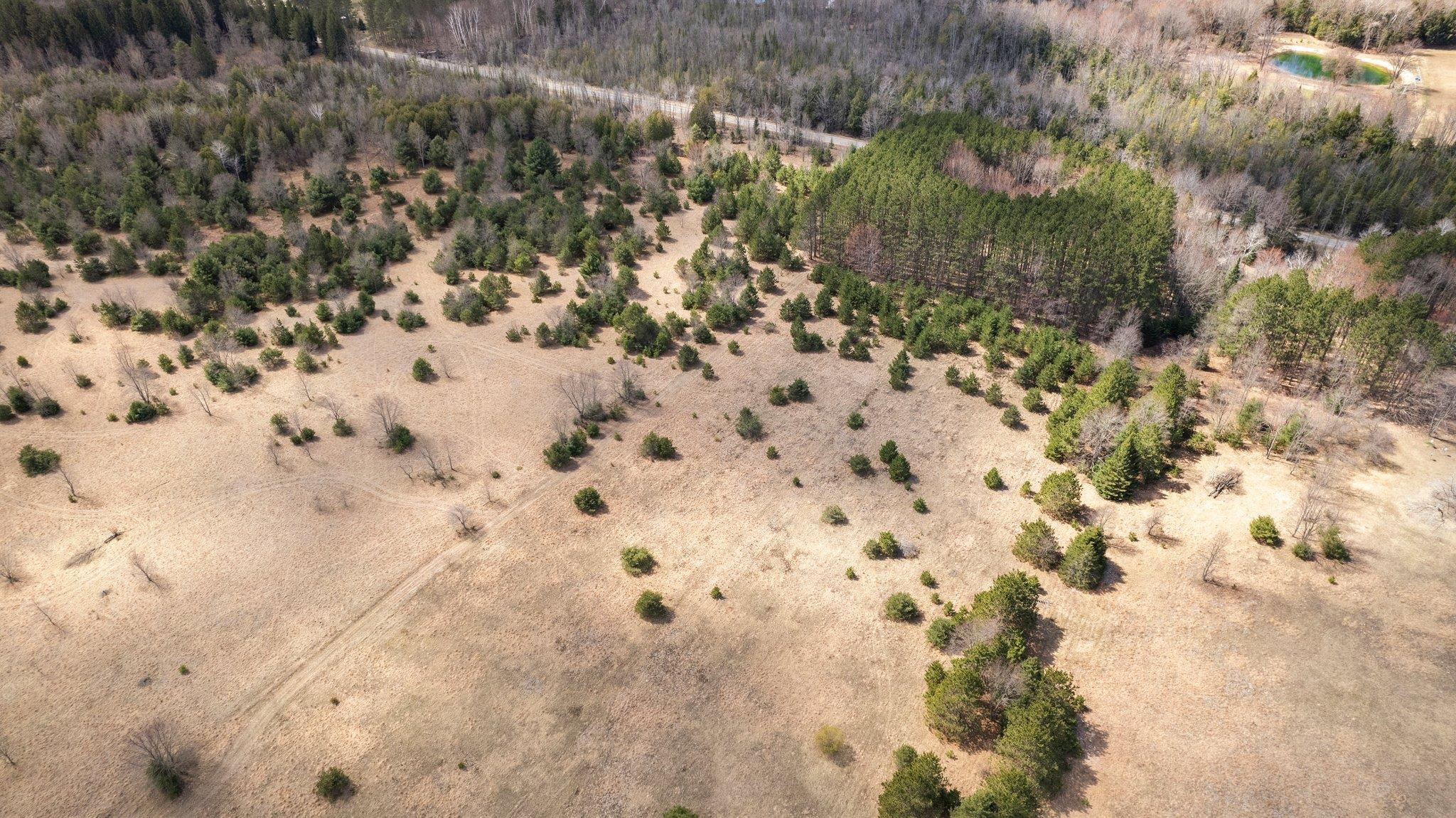 0 Golden Road Southeast Kalkaska, MI 49646 - Photo 26 of 30 Gallery Image 26