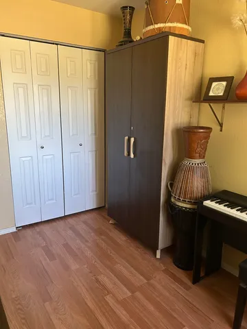 a view of a closet area with hardwood